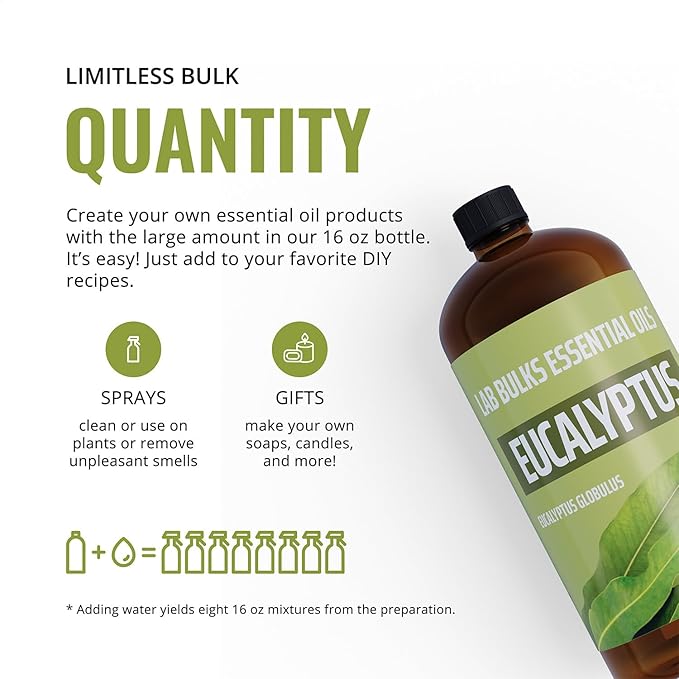 Lab Bulks Essential Oil Eucalyptus Essential Oil (2 Pack) for Diffusers, Home Care, Candles, Aromatherapy, 16 oz Bulk Bottle, Eucalyptus Oil Spray - Bloomnest