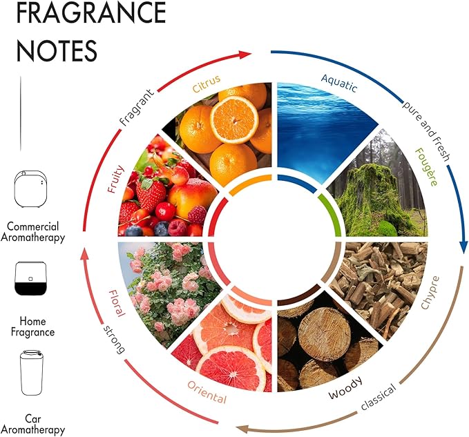 Hotel Scent Diffuser Oil - Paris Girl - Aroma Essential Oil Blends for Aromatherapy Diffuser Machine, Cedarwood, Elevate Large Room with Air Fresheners - 5.3fl oz - Bloomnest