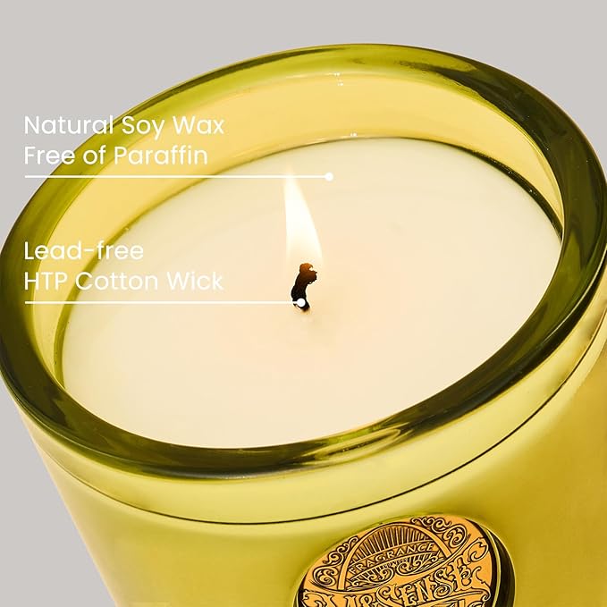 M&SENSE Natural Fresh Soy Candle | White Tea Sage & Matcha Green | 9.2 oz, 50H Burn Time | Luxury Scented Candle for Relaxation, Gifting, Home Décor | Ideal for Bedroom, Office, Party Ambiance - Bloomnest