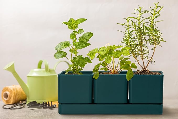 D'vine Dev Herb Garden Planter Set, Plastic Plant Pots with Drainage and Saucer, Indoor Succulent Cactus Vegetable Pot for Windowsill, Garden Balcony, Green, Set of 2, 76-V-C-2 - Bloomnest