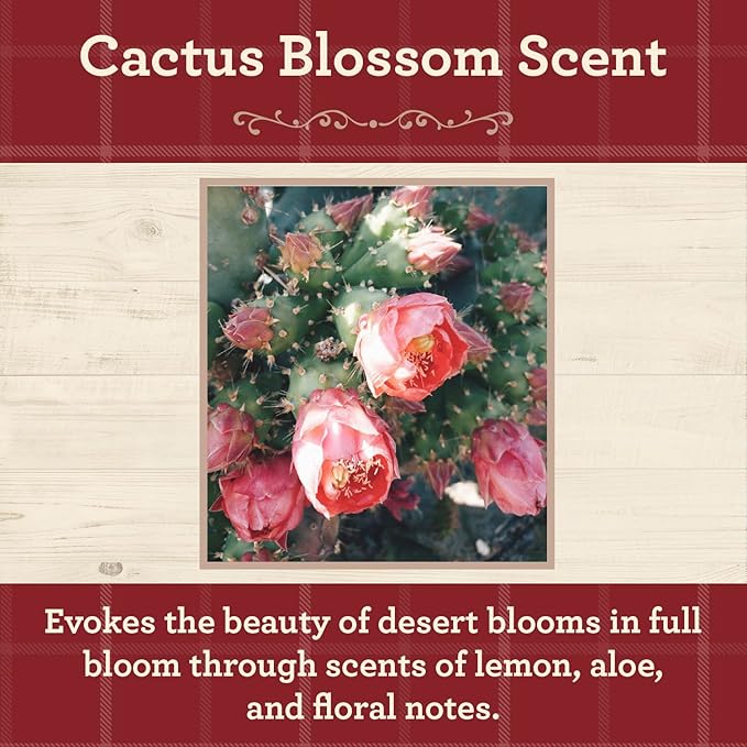 Our Own Candle Company, Cactus Blossom Scented Mason Jar Candle, 100 Hour Burn Time, 13 Ounces - Bloomnest