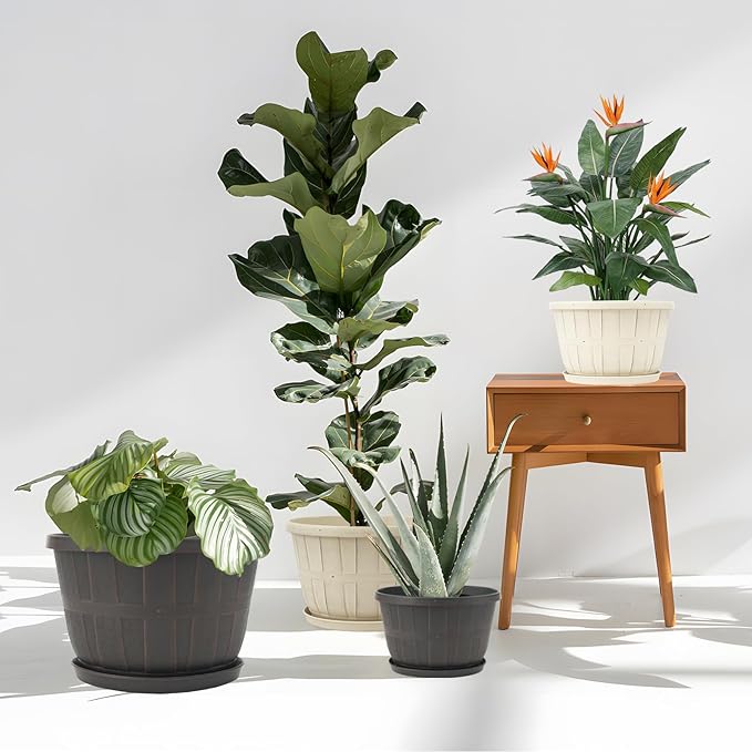 Quarut 12 Inch Large Planter Pot for Plants Indoor Outdoor, 4 Pack Plastic Flower Pots with Drainage Hole & Tray, Modern Decorative Garden Pot with Saucer, Plant Container for House（White） - Bloomnest