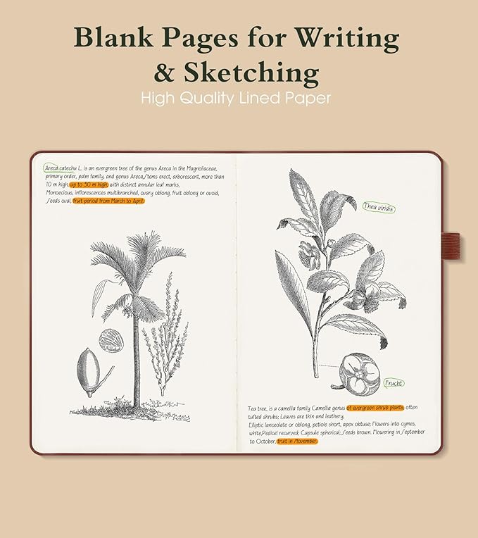 Blank Journal Notebook for Women Men,160 Pages,A5 Hardcover Sketchbook for Drawing, Sketch book, Unlined Notebooks for School,Work, Note Taking,Travel Journals for Writing 5.8"x8.5" (Brown) - Bloomnest