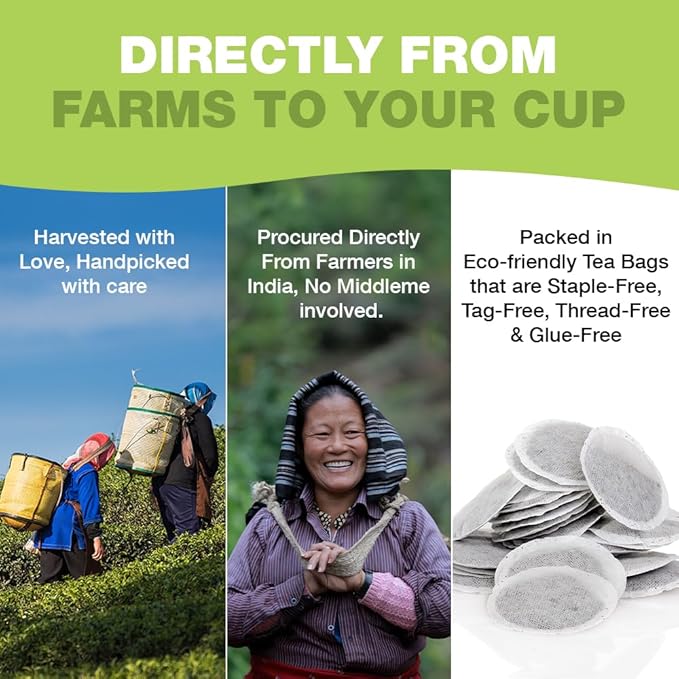 HANDPICK, Organic Green Tea Bags - 100 Eco-Friendly Tea Bags | USDA Organic | Resealable Pack for Freshness | Delicate & Flavory | Direct From India - Bloomnest