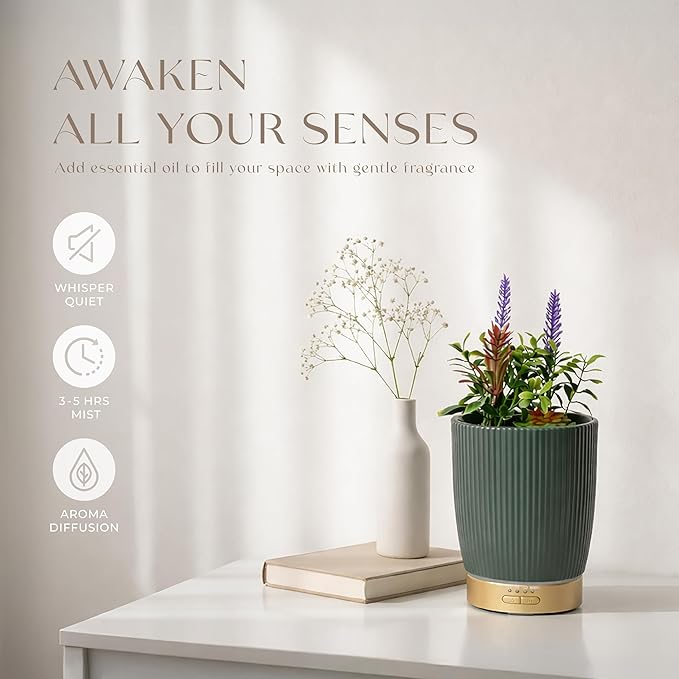 Earnest Living Essential Oil Diffuser Ceramic Artificial Succulent Plants Potted Diffuser 100 ml for Lavender Essential Oils Timers Night Lights and Auto Off Humidifier Aromatherapy Diffusers for Gift - Bloomnest