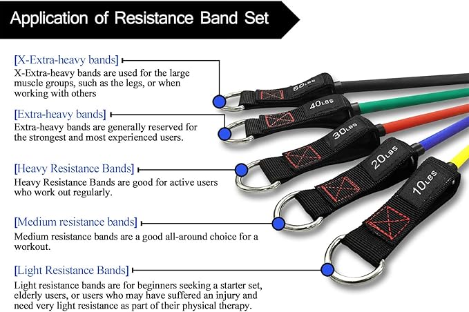 TheFitLife Resistance Bands with Handles - Designed for American Body Types, Exercise Workout Tubes for Men, Women, Includes Large Handles, Ankle Straps, Door Anchor, Fitness Levels - Bloomnest