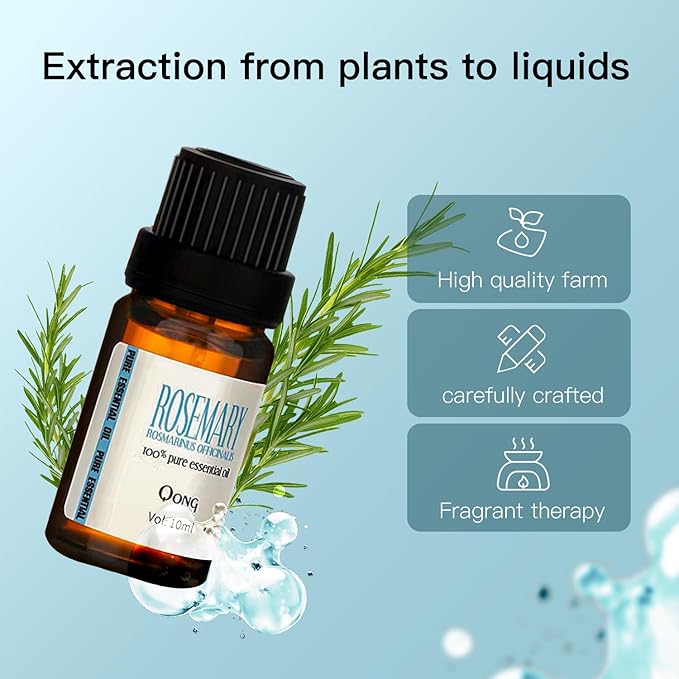 Rosemary Essential Oil Blend, Rosemary Oil, Can be Used for, Hair, Skin, Nails, Aromatherapy Oil& Diffuser Essential Oils- 10ML - Bloomnest