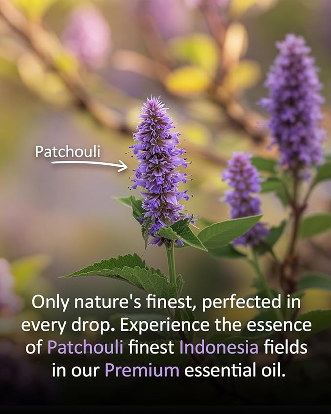 100% Pure Patchouli Essential Oil, 4 fl oz | for Diffusers, DIY Perfume, Soap Making, Aromatherapy, Skin Use, Blending & Scent Customization, Long-Lasting Aromatherapy for Home Airoomoil