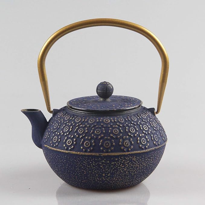 Teapot Cast Iron Tea Kettle for Stovetop Safe Coated with Enameled Interior,Japanese Cast Iron Teapot with Stainless Steel Infuser for Loose Tea(33.8oz) - Bloomnest