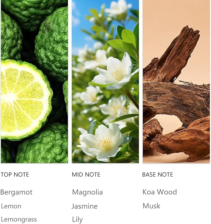 Hotel Bergamot Essential Oil 20ML Sampler Waterless Scent Oil for Cold Air Diffusers, Luxury Aroma Fragrance Oils for Home, Spa&Office-Long Lasting Aromatic Oils - Bloomnest