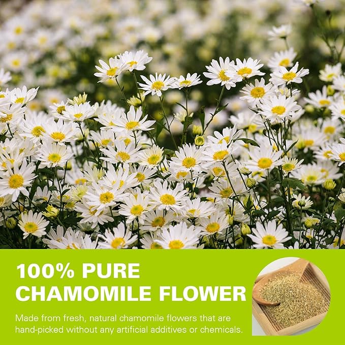 WT WEETEE Chamomile Tea bags, Made with 100% Pure Chamomile Flowers, Natural Caffeine-free Herbal Tea for Relaxation - Bloomnest