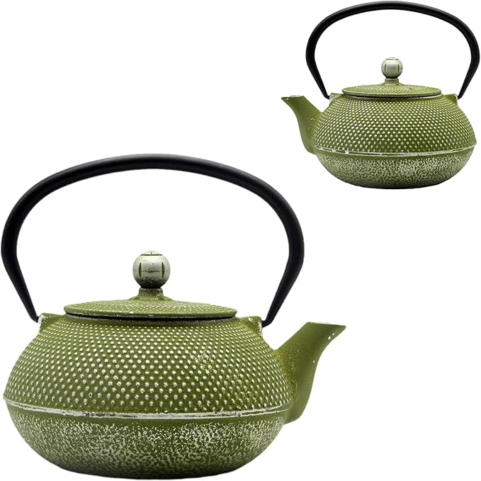 Cast Iron Teapot Tea Kettle with Stainless Steel Infuser for Stovetop Safe Coated with Enameled Interior Japanese Green Tetsubin for Loose Tea(30.4oz/900ml) - Bloomnest