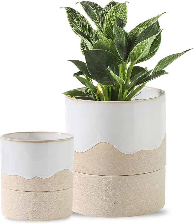 Nihow Self Watering Plant Pot for Indoor Plants: 4.5+6 Inch Ceramic Planter with Drainage Hole & Water Storage Plus - Cylinder Flower Pot with Wick for Herbs -White & Nature - Bloomnest