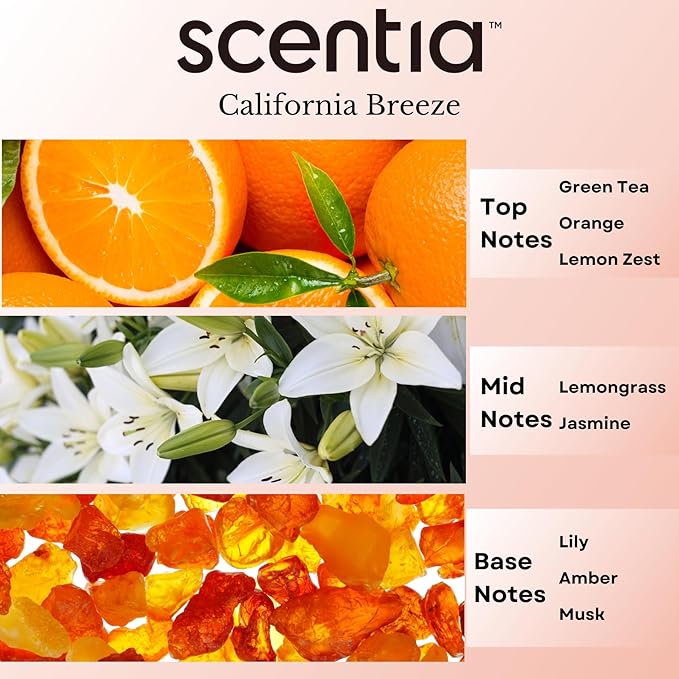 Scentia Hotel Diffuser Oil Inspired by The Delano Beach Club Hotel Scent - 20 mL 0.67 fl oz - Essential Oil Blend Orange, Green Tea & Jasmine for Aromatherapy Diffusers - California Breeze - Bloomnest