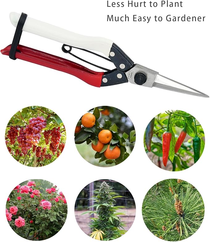Double-Edge Garden Shears Micro-Tip Pruning Shears Extra Heavy Straight Garden Scissors Effortless Cuts Pruning Shears for Gardening Clippers for Plant Herb Flower Harvesting Fruits vegetables - Bloomnest