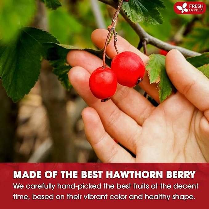 FreshDrinkUS, Premium Hawthorn Berry Tea - 75 Tea Bags - 100% Natural Herbal Infusion, Caffeine-Free, Rich Aroma & Smooth Taste. Vegan - Bloomnest