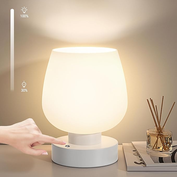 Cordless Bedside Lamp, Portable Rechargeable Table Lamps for Bedroom for Night Stands, Touch Stepless Dimmable Desk Lamp, Warm LED Bulb, Round Shape, 1 Set, White - Bloomnest