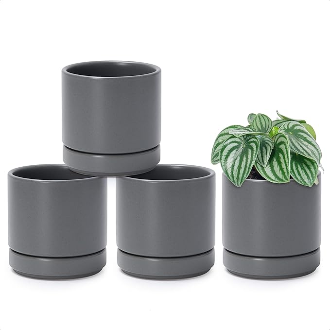 D'vine Dev Set of 4 Small Ceramic Plant Pots, 4.7 Inch Succulent Planter Pot for Plants with Drainage Hole and Saucer, Grey, 94-X-B-3 - Bloomnest