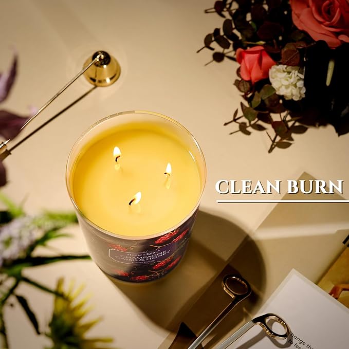 HomeLights Scented Candles for Women & Men, 34oz Candle Jars Aromatherapy 3-Wick Candle, Ideal for Eclectic Mixed Styles Home Decor and Gifts, Champagne Cassis & Honey - Bloomnest