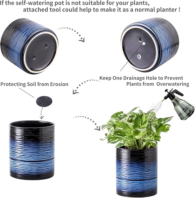 Nihow Self Watering Plant Pot: 6 Inch Ceramic Planter with Drainage Hole & Water Storage Plus for Indoor & Outdoor Plants - Cylinder Round Flower Pot for Succulent/Herbs/Violets - Black & Vivid Blue - Bloomnest