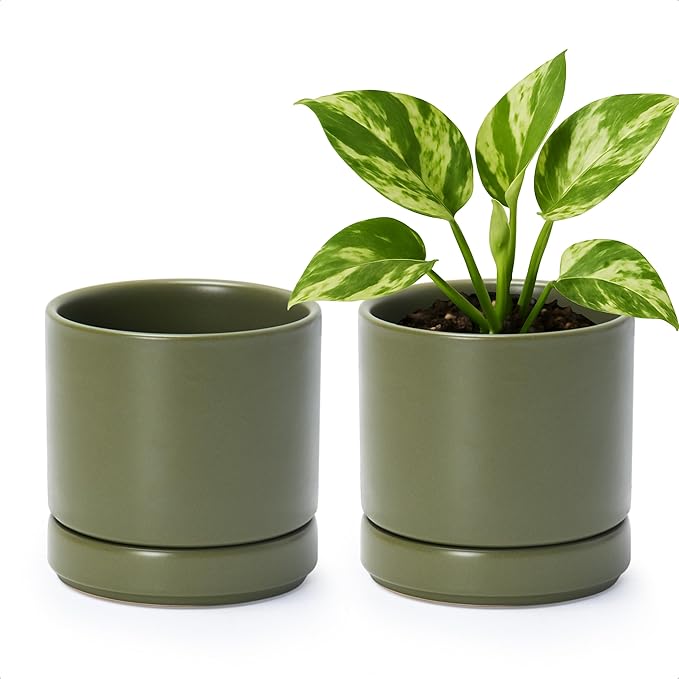 D'vine Dev Set of 2 Plants Pots, 4.7 Inch Ceramic Planter Pot for Plants with Drainage Hole and Saucer, Olive, 94-V-B-J - Bloomnest