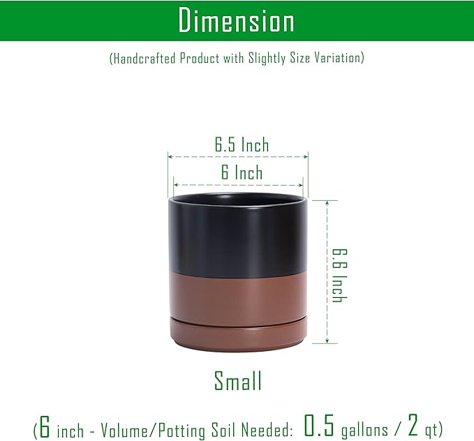 D'vine Dev Set of 2 Plants Pots, 6 Inch Ceramic Planter Pot for Plants with Drainage Hole and Saucer, Black/Speckled Tan, 94-V-C-7 - Bloomnest