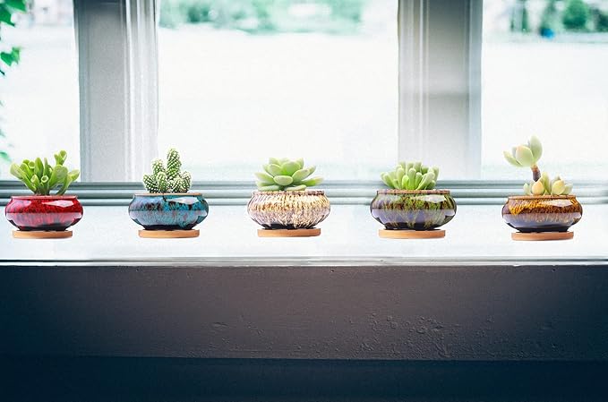 Cute Ceramic Succulent Garden Pots, Planter with Drainage and Attached Saucer, Set of 5 -Plants Not Included (Burner) - Bloomnest