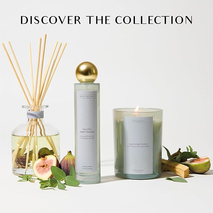 Eucalyptus Fig & Sandalwood Scented Candle | 11oz, 60 Hour Burn | Natural Soy Wax, Cotton Wick | Holiday Candles | Christmas Scented Candles for Home | Sun-Kissed Collection - Pacific Driftwood - Bloomnest