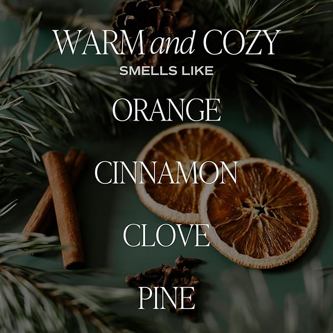 Sweet Water Decor Warm and Cozy Soy Candle - Orange Peel, Cinnamon, Ginger and Clove Scented Candles for Home - 9oz Amber Jar + Black Lid, 40+ Hour Burn Time, Made in The USA - Bloomnest