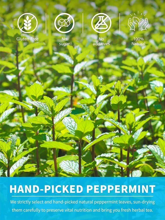 TeeLux Peppermint Tea Bags, Natural Peppermint Herbal Tea, Refreshing & Soothing Mint Tea, Caffeine Free, 100 Count - Bloomnest