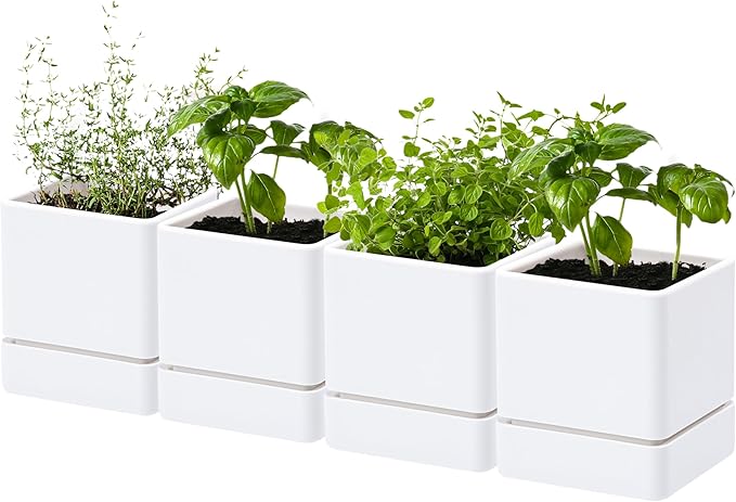 4 Inch Herb Planter Pot, Plastic Planter with Drainage Holes and Saucer, Modern Decorative Gardening Pot for Indoor Plants, Flowers, Herbs, Succulents, White, Set of 4, 76-Y-A-4 - Bloomnest