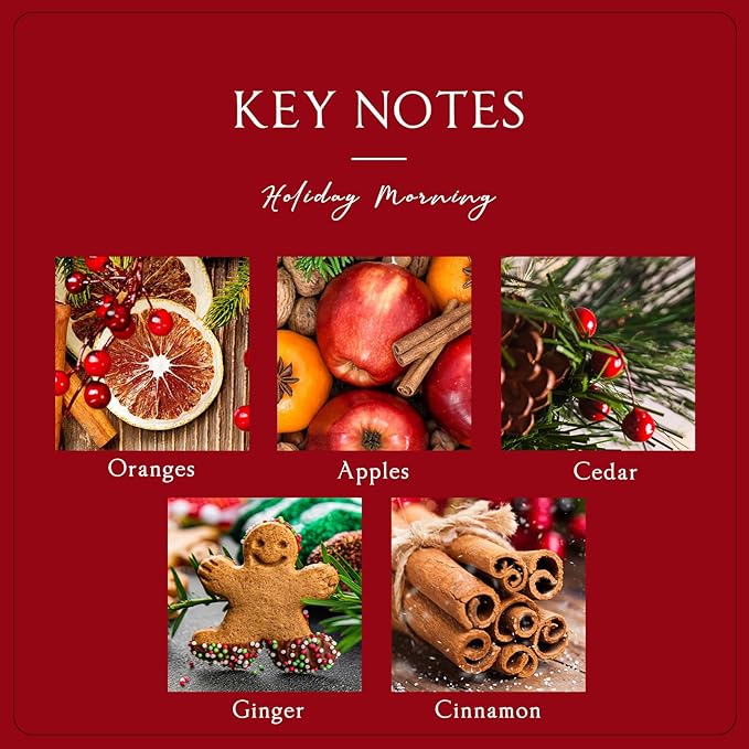 Reed Diffuser Set, 6.7 Oz Holiday Morning Oil Diffuser Includes 6 Reed Sticks, Home Fragrance Scented Diffuser for Bathroom Office Shelf Decor