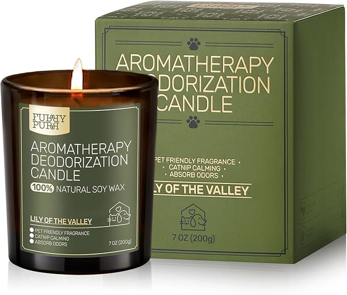 Odor Eliminating Candle, Lily of The Valley Scented Candle, Pet-Friendly Soy Candles, 60 Hours, 7 oz - Bloomnest