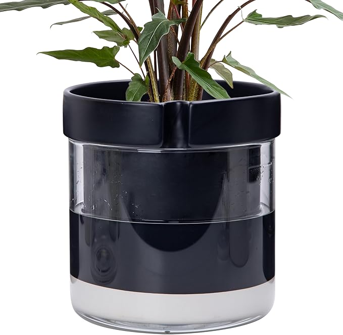 Phoenix Vine 8 Inch Self Watering Terracotta Planter, Black Terracotta Clay Pot with Glass Reservoir for Indoor Plants, Herbs, Flowers, Set of 1, 52-C-H-1 - Bloomnest