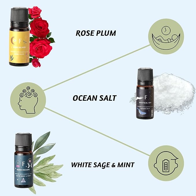 Folkulture Essential Oils for Diffuser Oil | Set of 6 Fragrance Oil or Diffuser Oils Scents for Home | Diffuser Essential Oil | Fragrance Oil for Diffusers- White Sage, Cedarwood - Bloomnest
