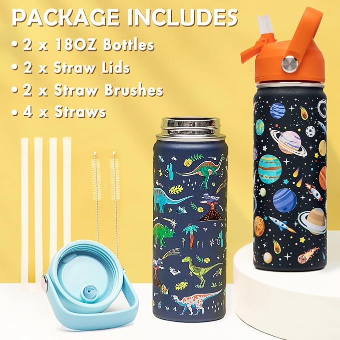 18oz Kids Insulated Water Bottle with Straw Lid - 18/8 Stainless Steel Kid Cup Travel Tumbler Double Wall Vacuum Leak Proof Portable Toddler Water Bottle (Space + Dinosaur) - Bloomnest