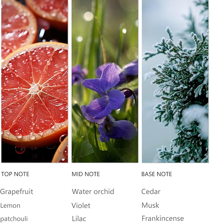 Hotel Waterless Diffuser Oil Clove Cedar, Essential Scent Oil Usage Cold Air Waterless Diffuser, Luxury Scents Oils Fragrance Bottle120 ML Home Natural Flavour - Bloomnest