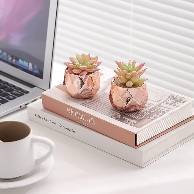 Tiita Artificial Faux Succulents in Pots, Mini Rose Gold Fake Plants for Women Desk, Small Realistic Faux Succulents for Home Office Accessories Window Sill Bathroom Bedroom, Rose Gold - Bloomnest