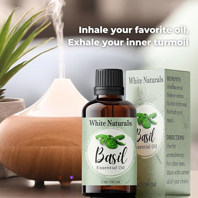 Basil Essential Oil,100% Pure & Natura, Therapeutic Grade Basil Oil for Aromatherapy, Great for Skin, Massage, Diffuser Candle & Soap Making, Plant Therapy 1 oz Bottle with Dropper - Bloomnest