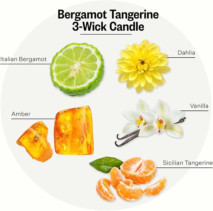 Apotheke 3-Wick Scented Candles for Home, Bergamot Tangerine - 26 oz Soy Wax Aromatherapy Jar Candle with Perfume-Grade Essential Oils - Gift for Women & Men - Bergamot, Tangerine & Sweet Dahlia - Bloomnest