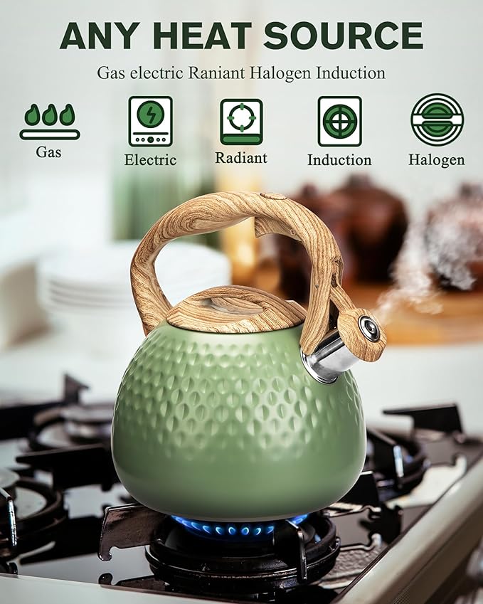 Tea Kettle Stovetops, 2.5 Quart Food Grade Stainless Steel Water kettles for Stove Top Teatop with Anti-hot Ergonomic Handle,Suitable for All Heat Sources - Bloomnest
