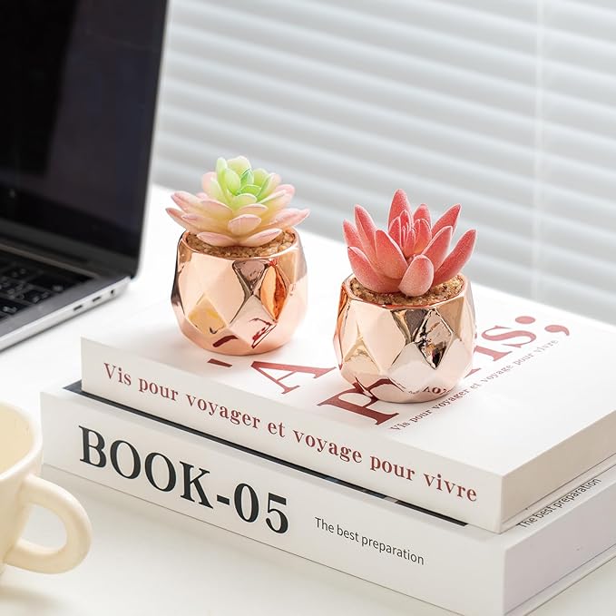 Tiita 4 Pack Artificial Faux Succulents in Pots, Mini Rose Gold Fake Plants for Women Desk, Small Realistic Faux Succulents for Home Office Accessories Window Sill Bathroom Bedroom, Rose Gold - Bloomnest