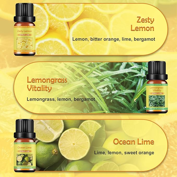 Citrus Essential Oils Set for Diffuser - 6x10ml Aromatherapy Oils Including Bergamot, Lemon, Grapefruit, Lime, Lemongrass, and Citrus Bloom - Essential Oils for Diffuser Use at Home or Office - Bloomnest
