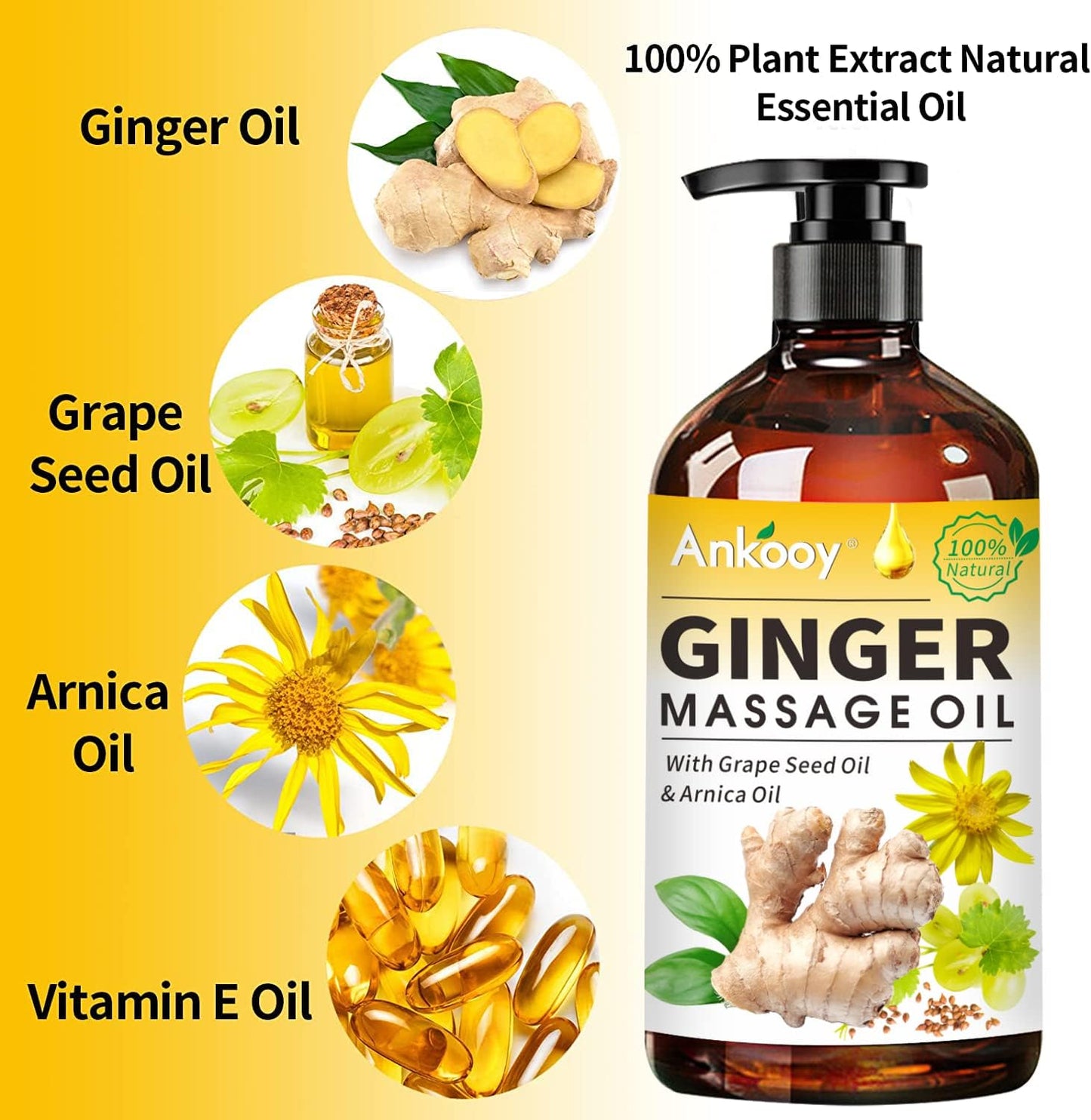 3 Pack Ginger Massage Oil with Arnica Oil,Vitamin E Oil and Grape Seed Oil,Ginger Oil for Lymphatic Drainage,100% Natural Ginger Essential Oil for Warming and Relaxing