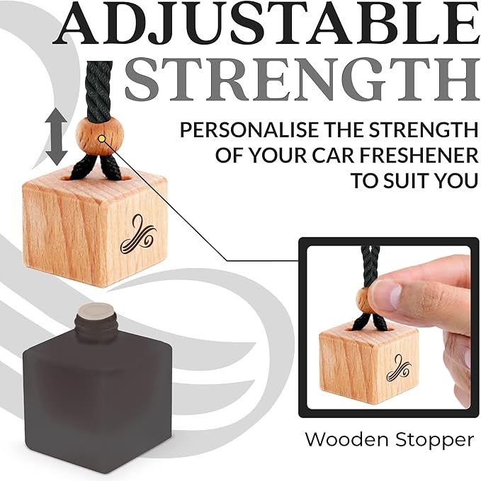 Greed Car Air Freshener for Men | Perfume Inspired Fragrances | Strong Car Freshener with Odour Eliminator Technology | Air Freshener | Long Lasting Automotive Freshener by Perfa - Bloomnest