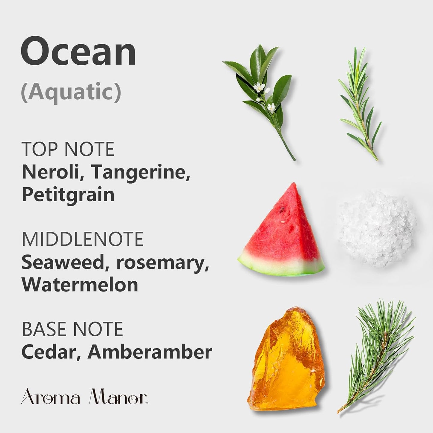 Aroma Diffuser Oil - Ocean - Aroma Fragrance Diffuser Oils, Aromatherapy Scents Neroli, Watermelon & Amber, Long-Lasting Air Fresheners, Enjoy Essential Oil Infused Atmosphere - 5.3 fl oz (150mL)