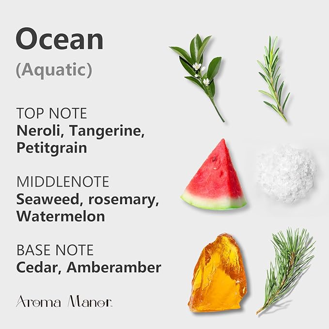 Aroma Diffuser Oil - Ocean - Aroma Fragrance Diffuser Oils, Aromatherapy Scents Neroli, Watermelon & Amber, Long-Lasting Air Fresheners, Enjoy Essential Oil Infused Atmosphere - 5.3 fl oz (150mL) - Bloomnest