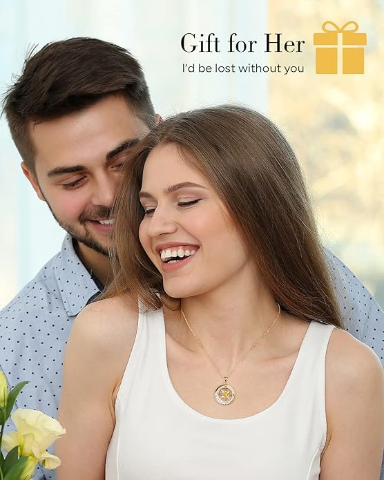 S925 Necklace Gift for Wife |Compass Jewelry |Women Anniversary |Sterling Silver |Girlfriend Birthday Gifts for Her Valentines |I'd be Lost without You |Jewel 18K Gold - Bloomnest