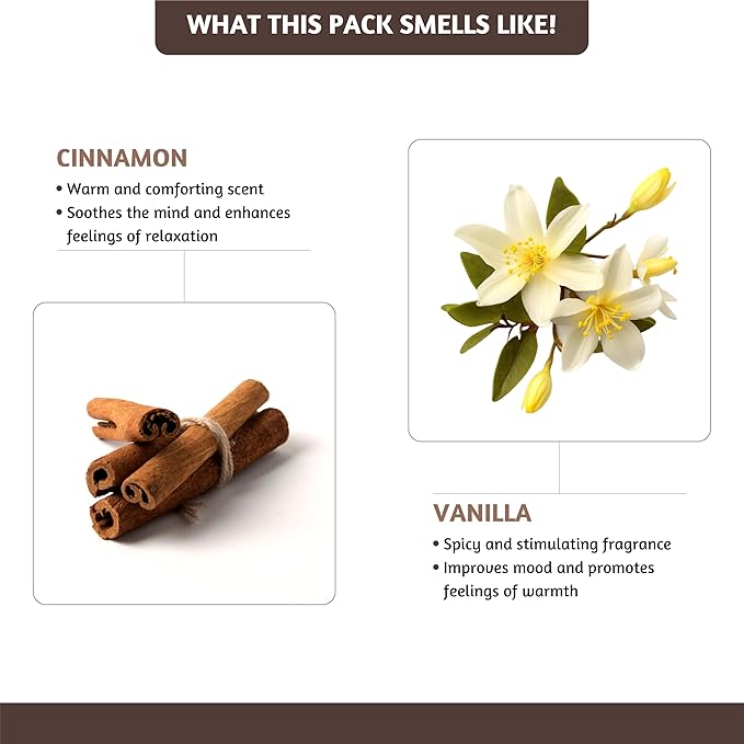 Folkulture Incense Cones (30 Cones) | Set of 2 Premium Insence Cones for Energy, Healing, Aromatherapy Gifts | No Charcoal, Organic, Non Toxic Vanilla & Cinnamon Scented Inscents-Cones FOLKULTURE