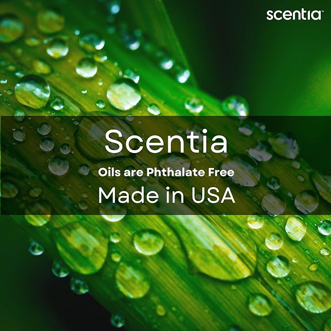 Fierce-Inspired Diffuser Oil - Scentia You Fragrance Oil Perfume Dupe - 120 mL, 4 Fl oz Diﬀusers - A and F Inspired. Natural Essential Scented Oil for Aromatherapy, SPA and Home, Mothers Day Gift Scentia